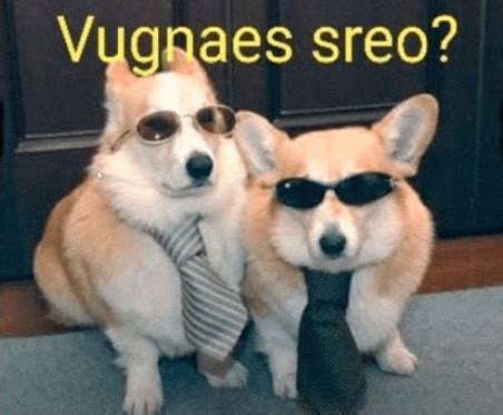 Vugnaes Sreo .